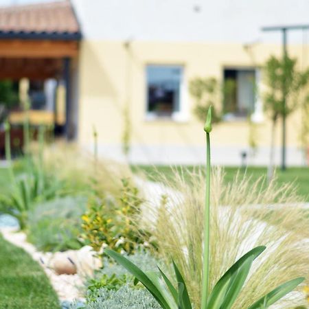 Rivoli Veronese Agriturismo Pepe Rosa מראה חיצוני תמונה