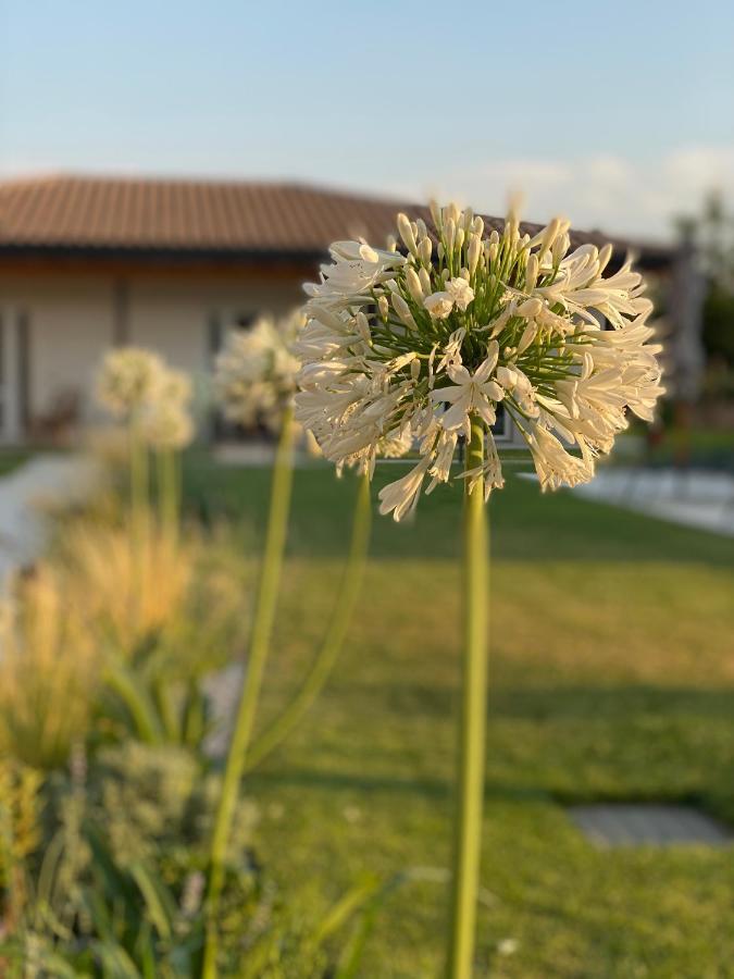 Rivoli Veronese Agriturismo Pepe Rosa מראה חיצוני תמונה